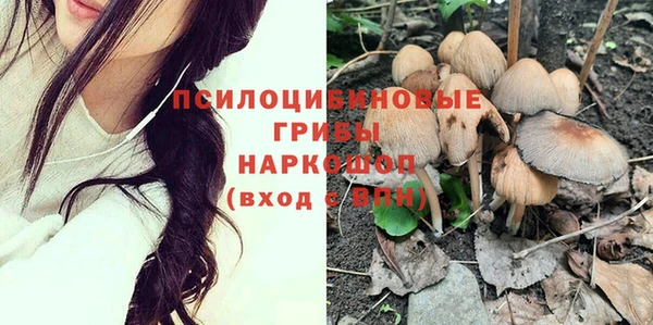 марки nbome Горняк