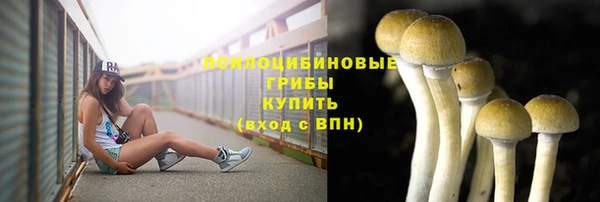 ALPHA PVP Гусиноозёрск