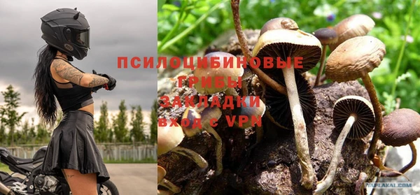 дживик Горнозаводск