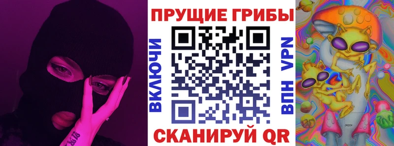 MEGA как зайти  Заринск  Галлюциногенные грибы мицелий 